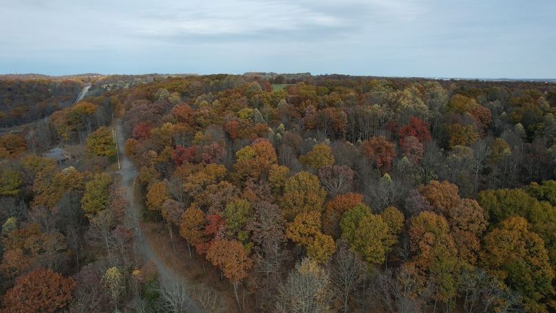 dji_fly_20251105_122130_897_1762380941141_photo