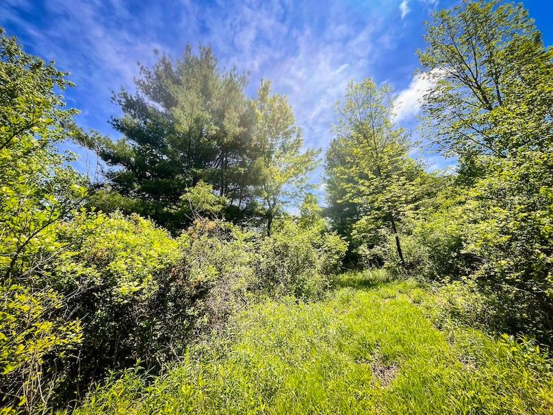 Tioga_28.322_VanNordstrand_Photos_25