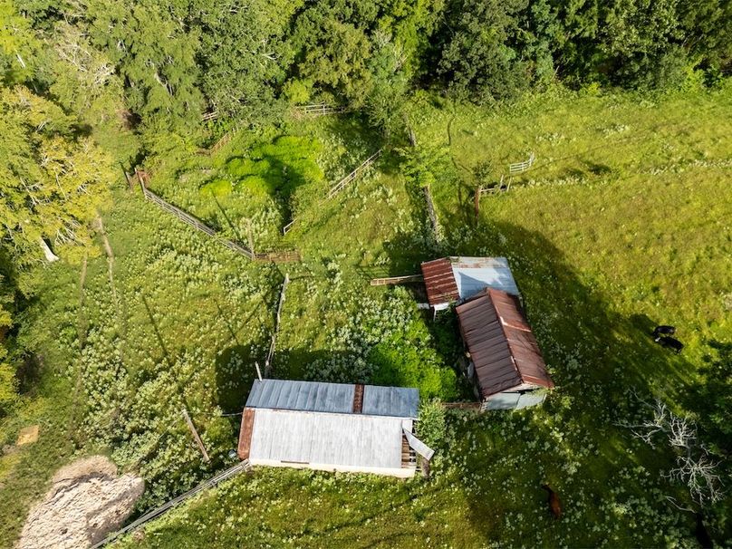 61 Upshur Co. 125Ac Reigel-64