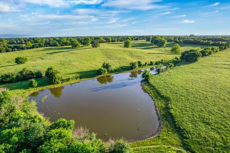Fannin County- 134.4 acres-29