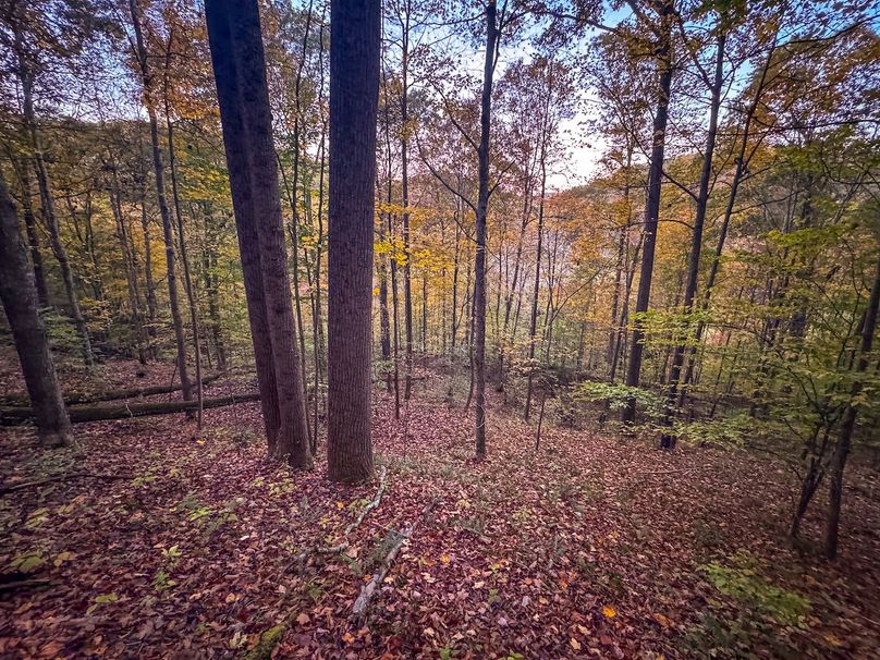 Wirt, WV 43 AC Berry-09