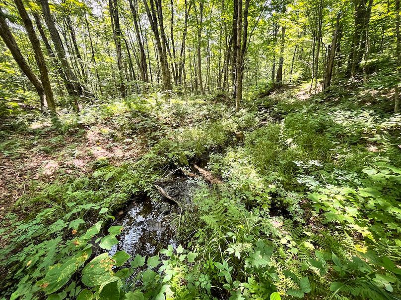 Oswego_100_Roof_Photos_55