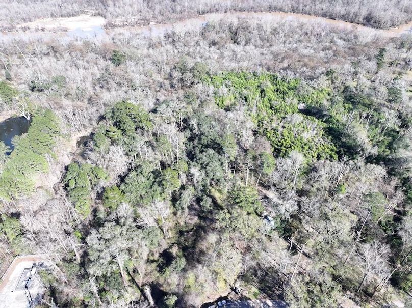 dji_fly_20260127_125450_0978_1769549085470_photo