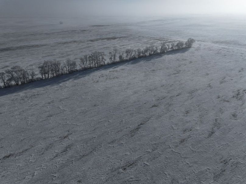 Copy of DJI_20241230115804_0350_D