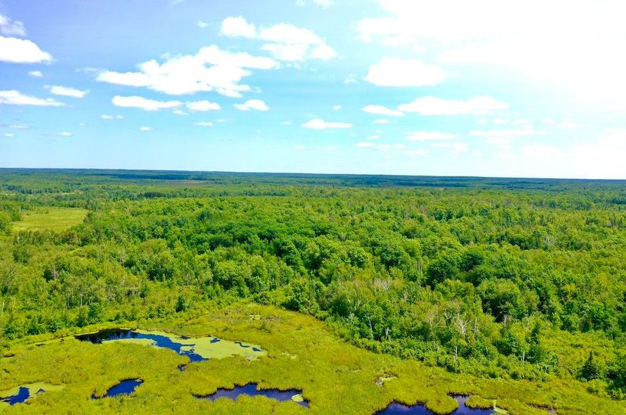 DJI_0801