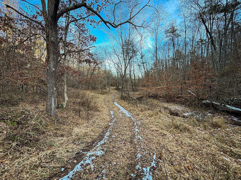 Jackson, WV 118.94 AC Shafer-097