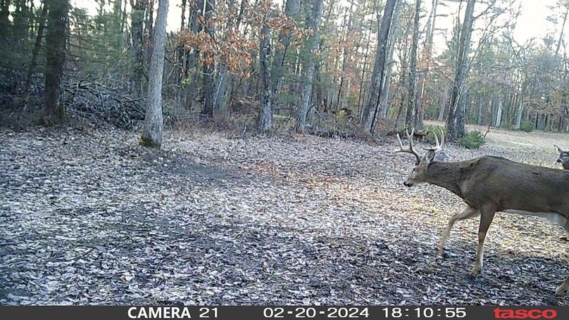 2024_02_20_big9pt_Point_East_Scrape