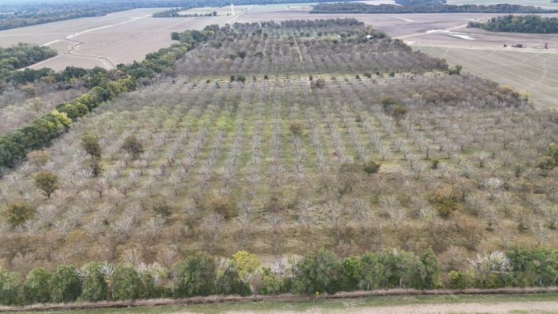 dji_fly_20251107_043212_0036_1762484041070_photo