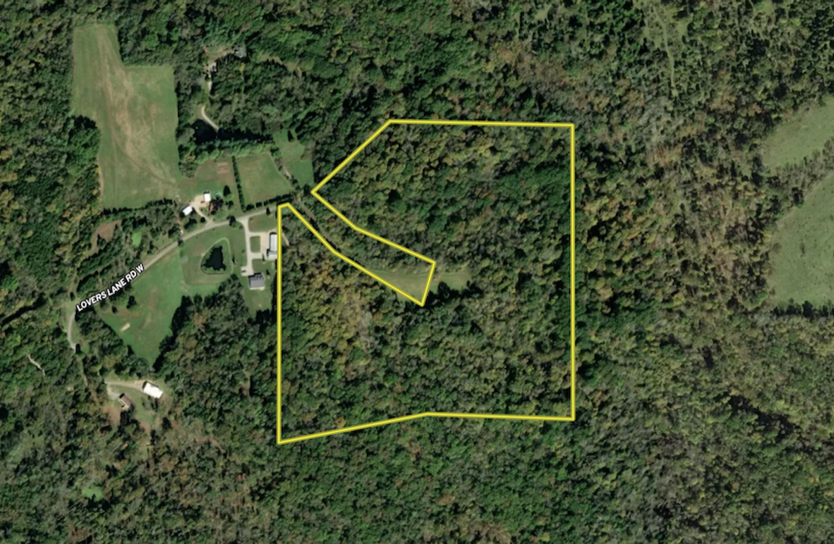 Screenshot 2025-07-25 213345