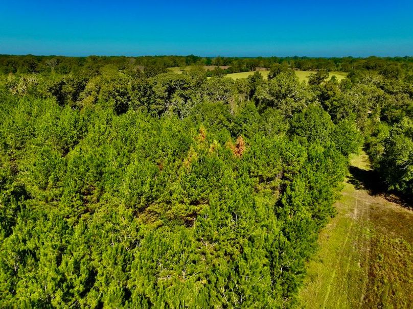 192E7282-7727-403C-8835-2304C34B6675_1_201_a