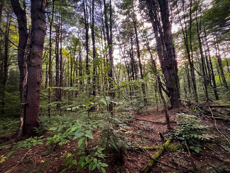 Oswego_30_RouselandInvestments_LLC_Photos_23