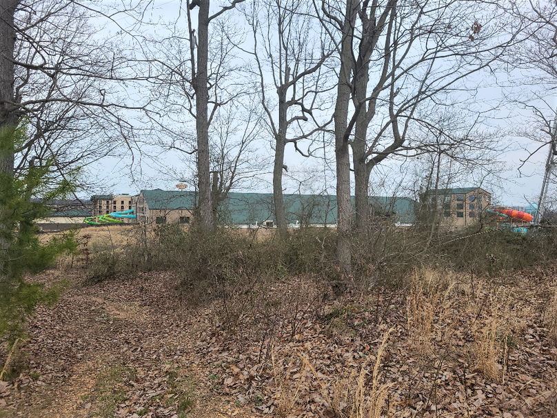 2.87ac_CokesburyRd_CECIL_PIC_014