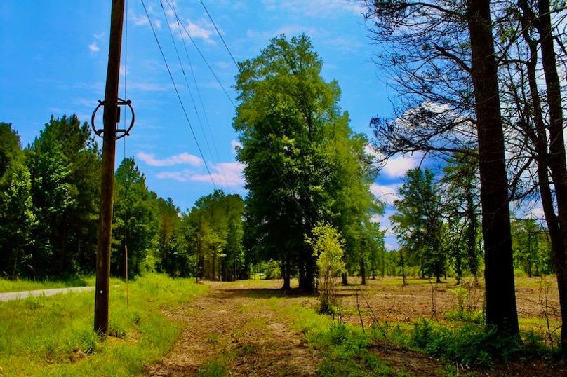 BE25631E-CA01-4648-BD51-E335C4CF2299_1_105_c