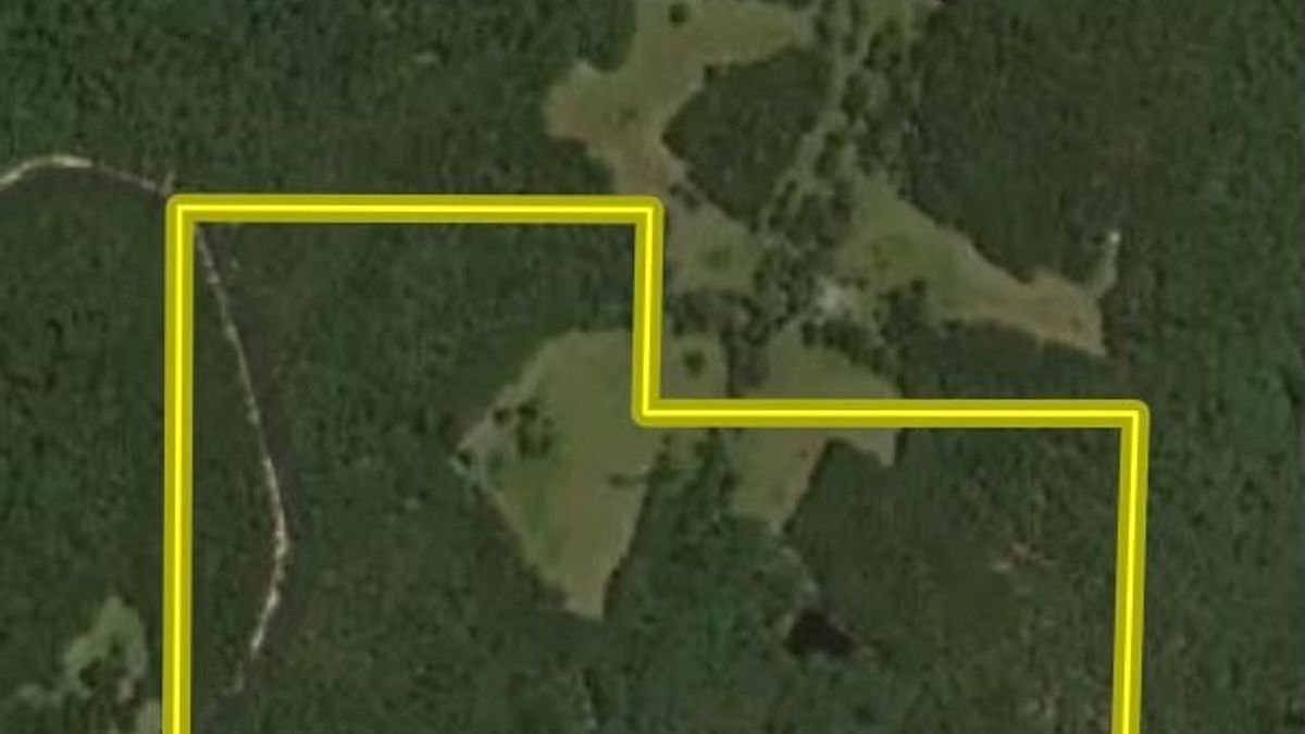 Impressive Mixed Use Timber and Recreational Property Whitetail