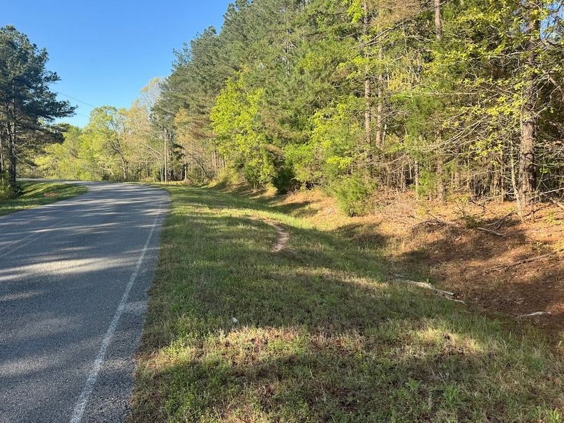 Road Frontage2