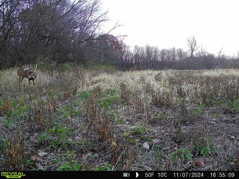 Copy of 860322065657501-70-4-11082024150250-HD-SYFW6468