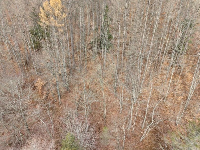 DJI_20251122114412_0036_D