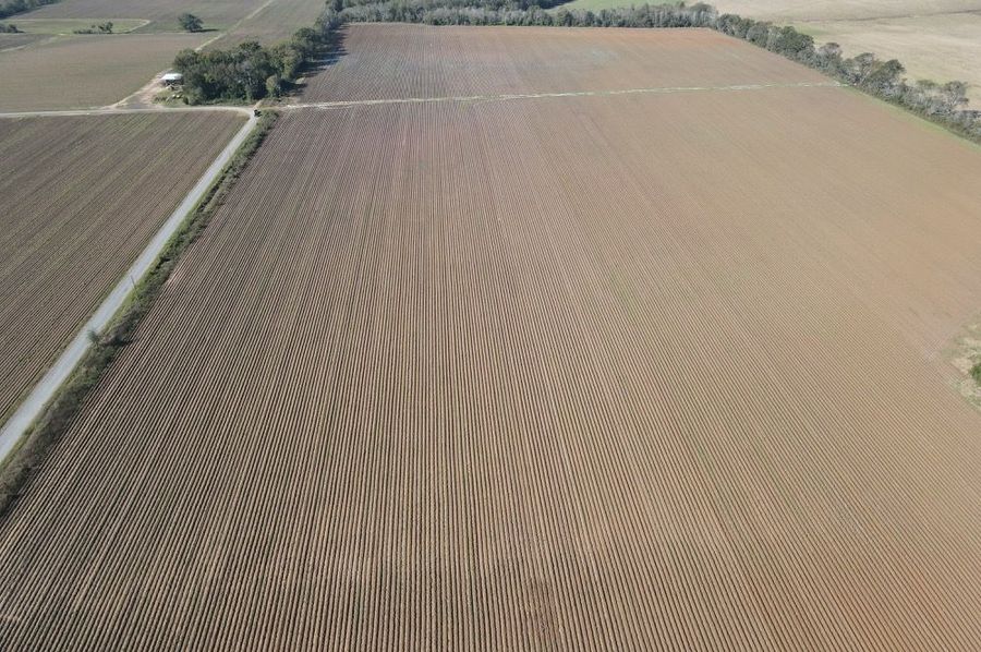 dji_fly_20241119_102658_359_1732033627384_photo