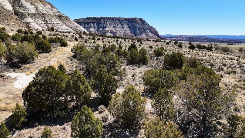 DJI_20240403111503_0144_D