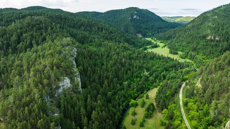 Lawrence SD 50 Featured_ProPhoto-30