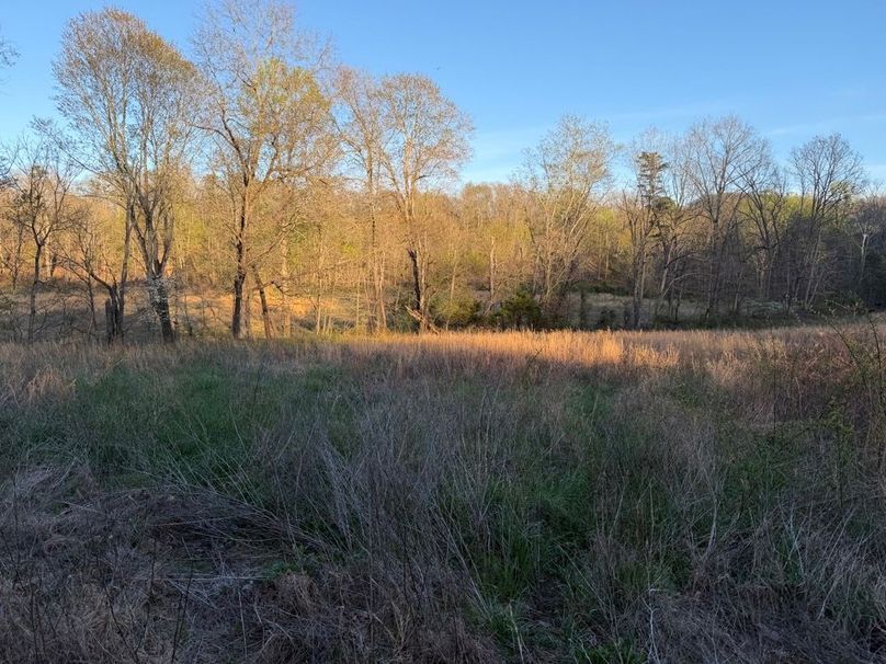 010 some of the beautiful meadows