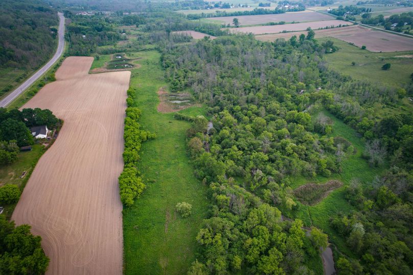 Ontatio_73.3_Green Photo 9