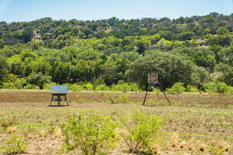 50-web-or-mls-DSC08956