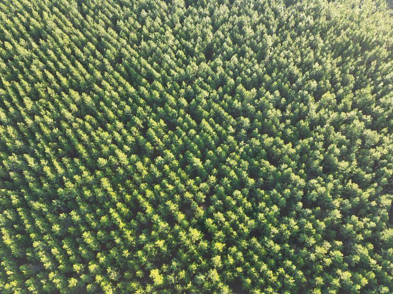 dji_fly_20231229_082608_982_1703856689342_photo