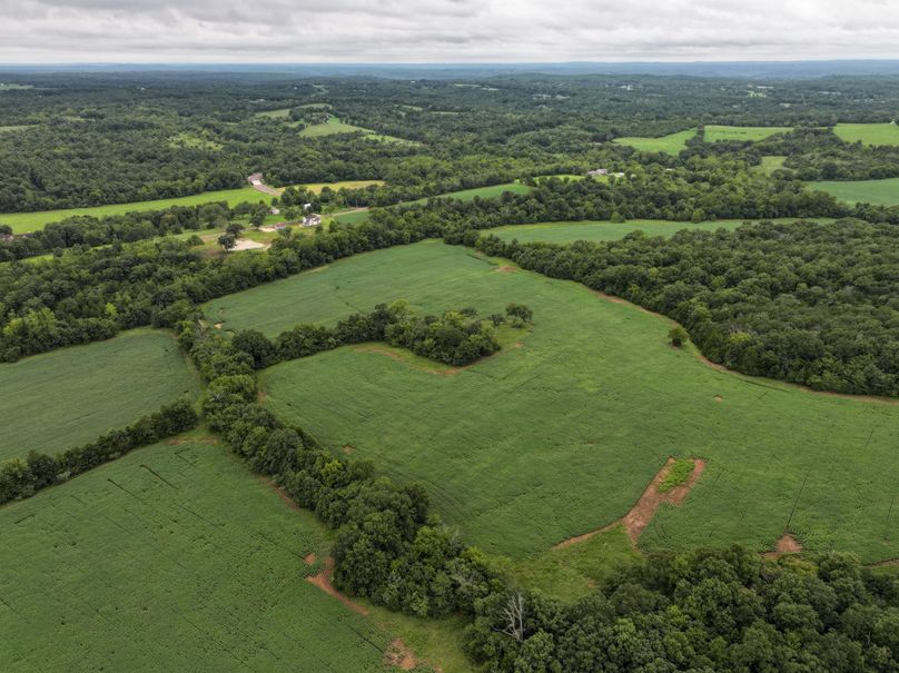 DJI_20230815082557_0018_D