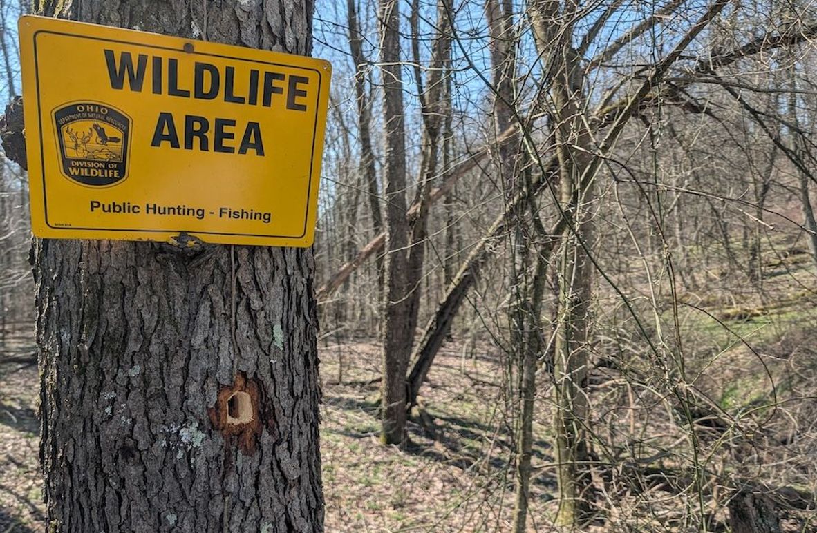 PXL_20260326_160448641