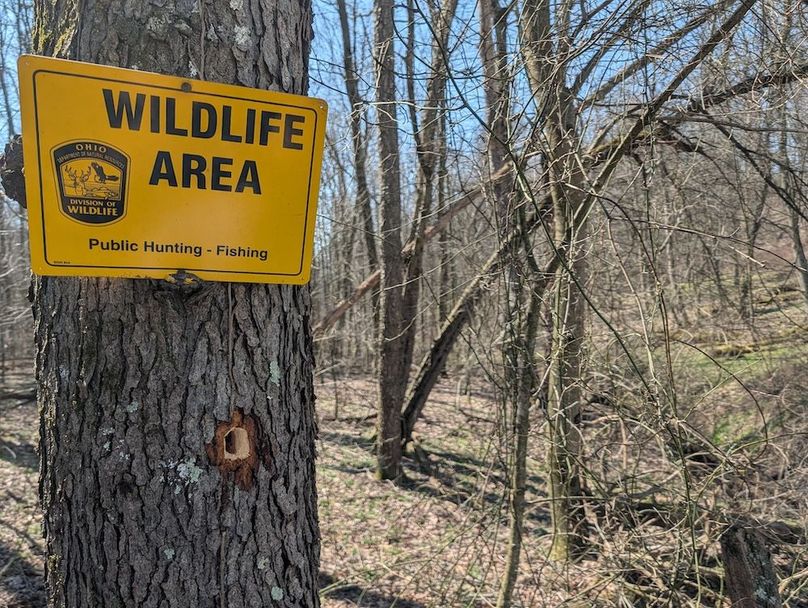 PXL_20260326_160448641