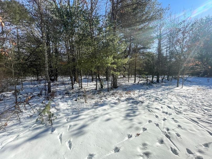 Adams 25, Nessler -41