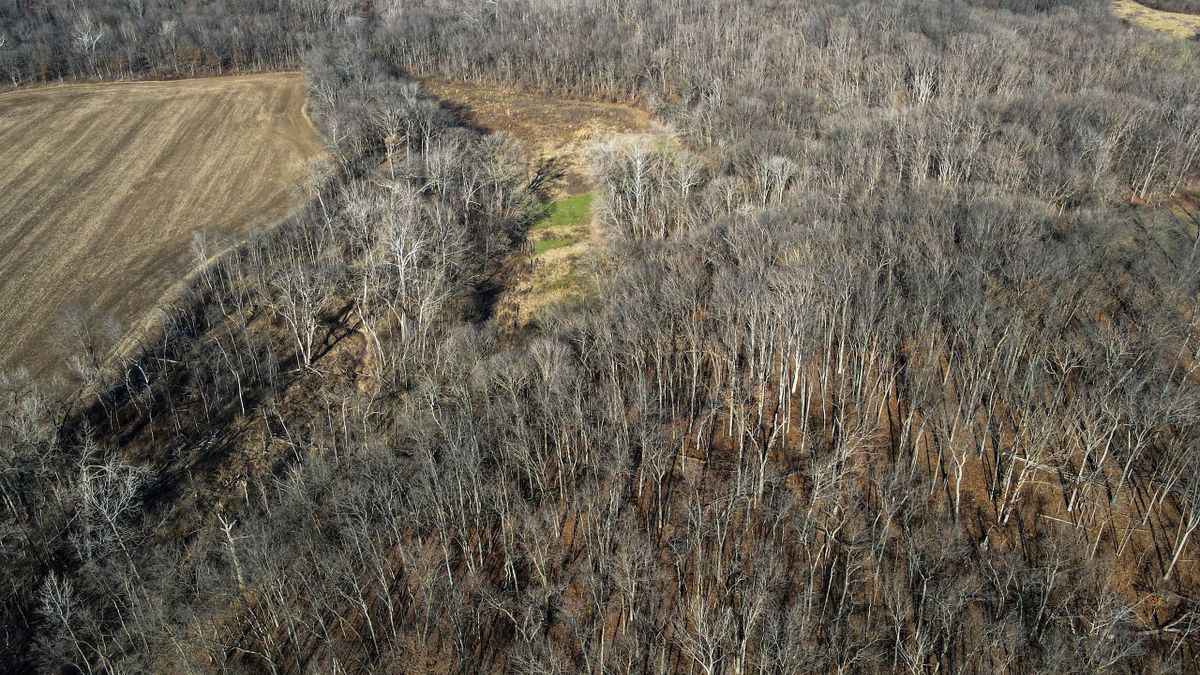 Hunting And TillableTract For Sale In Fayette County Whitetail Properties