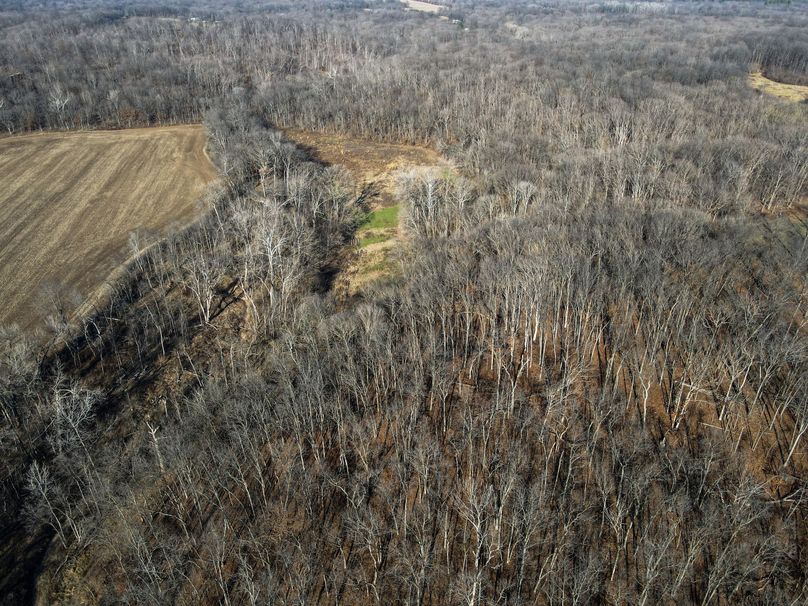 vandalia 450 (2)-663