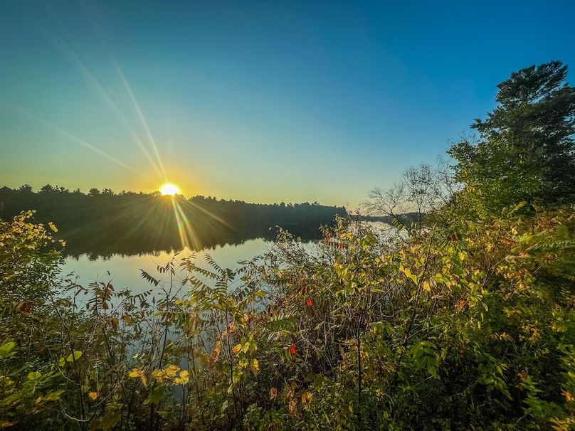 Wood 0.32, Ponce -49