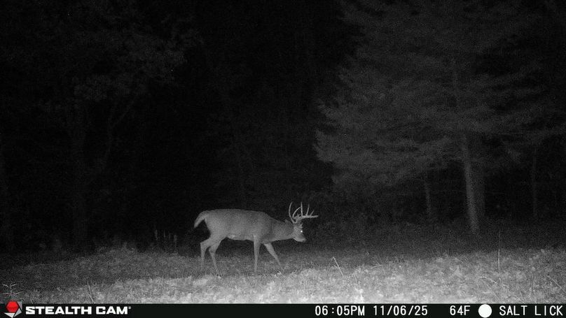 2025110618055301001500_ColorizationType.none