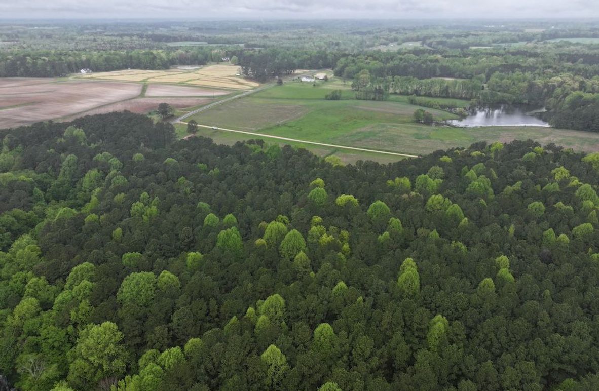 Copy of Copy of DJI_20250411111347_0035_D