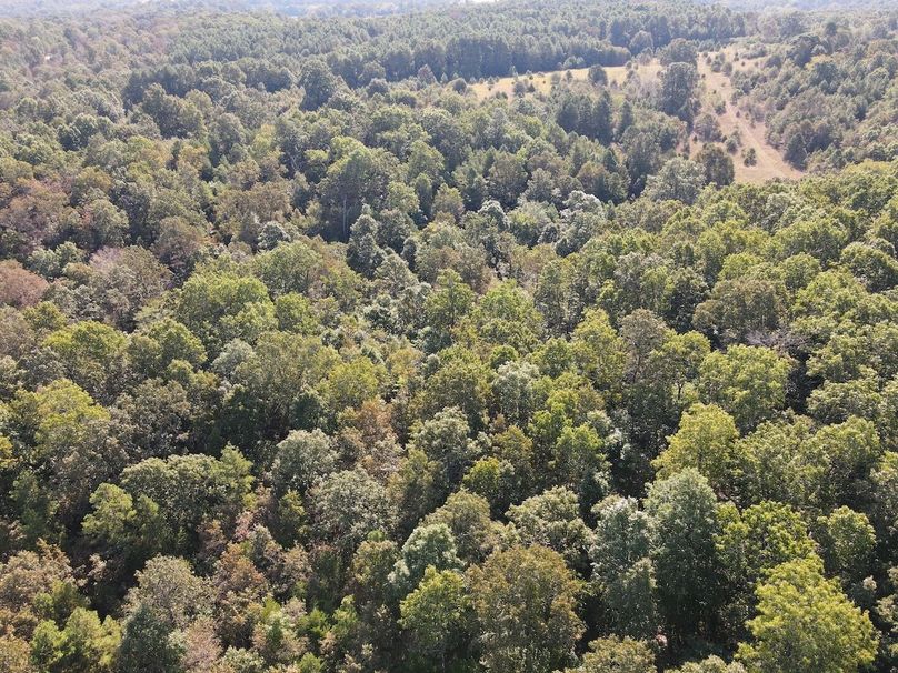 dji_fly_20250902_095320_718_1756824826599_photo