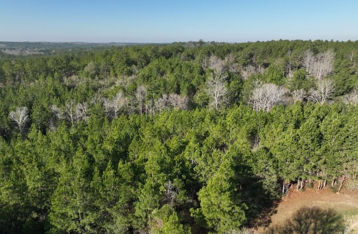 3EEC717E-B71E-4B4D-BF68-B6026936D1CE_1_105_c