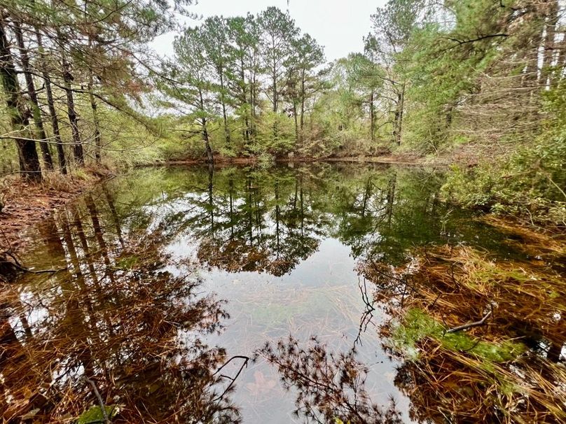 9618FB31-6B5E-4E5C-A7EA-D55D43E9CEB6_1_201_a