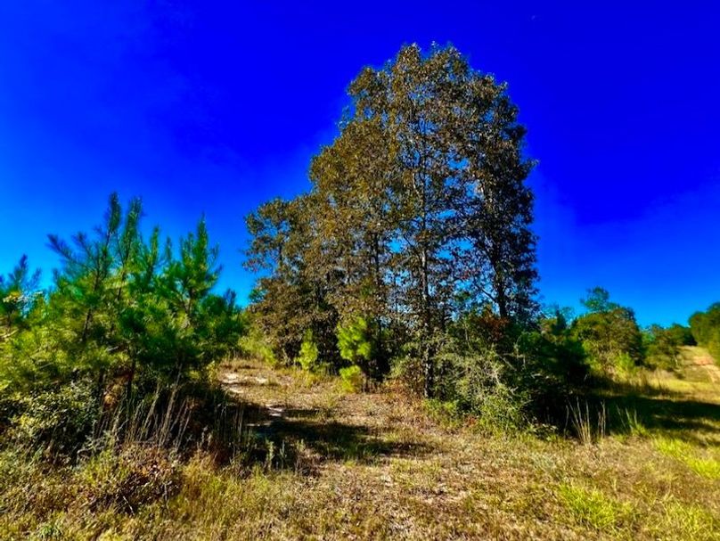 EF92BDFF-5924-45B5-A18B-E6524817E529_1_105_c