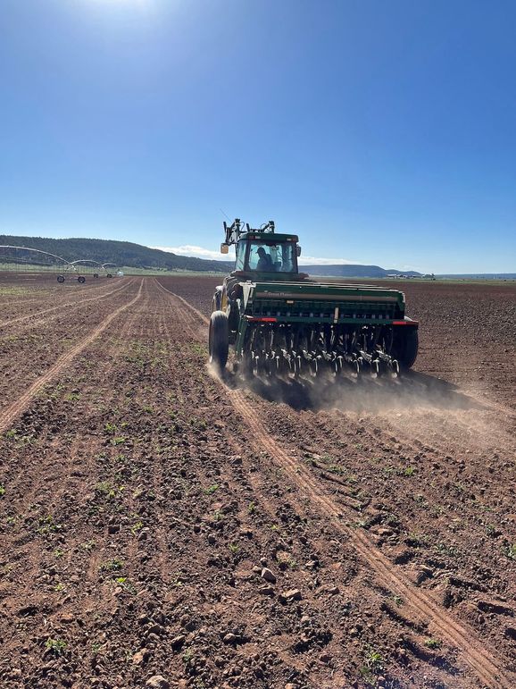 28.1_Pratt Hay field planting