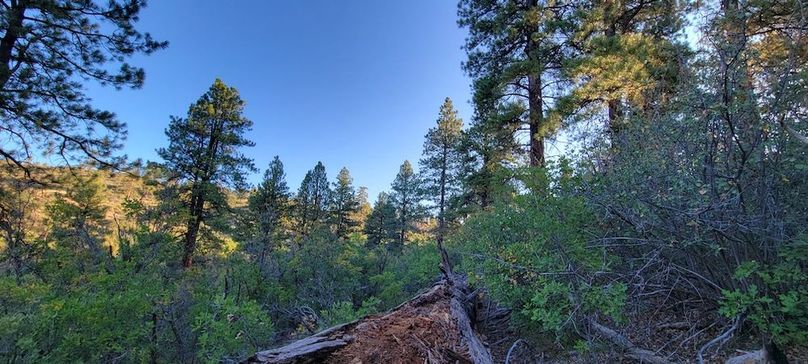 Copy of 20210827_074242