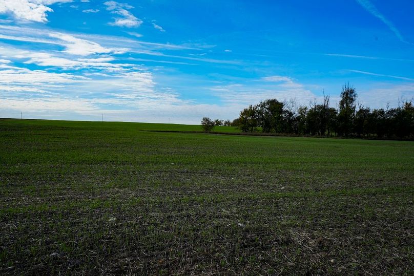 Dickinson Co, 154.5_048