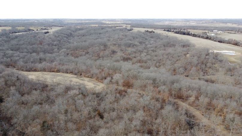 DJI_0644