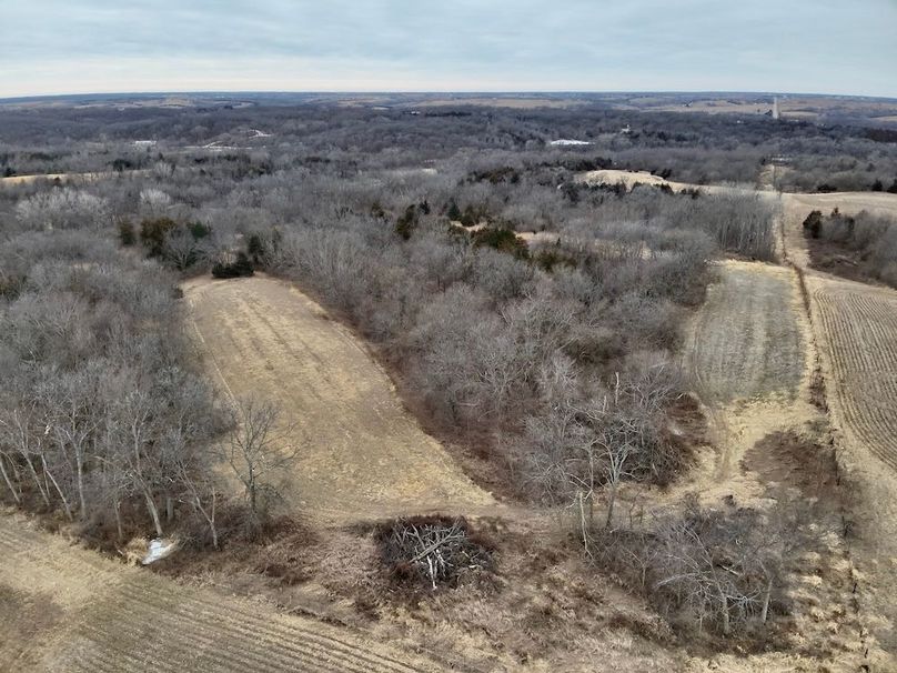 DB95B8FD-D3C4-4800-BA88-CC2DED83BE38_1_201_a