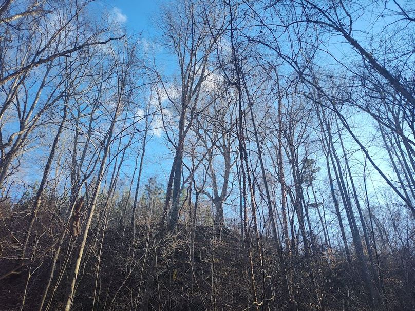 IMG_20240302_164904368