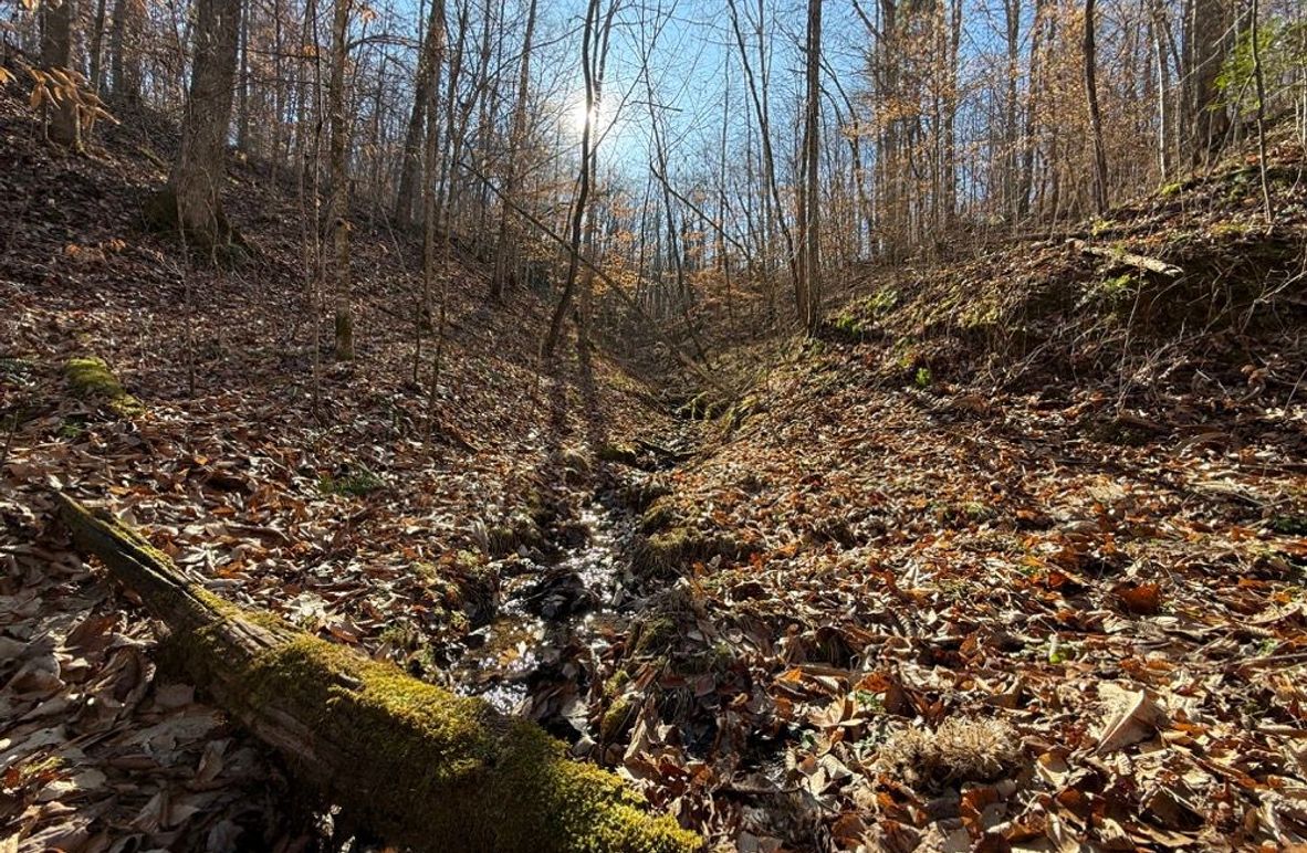 001 awesome photo of the stream up the west valley