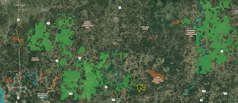 Zoom with conservation highlights