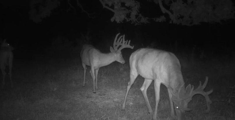 Copy of Copy of 1-5497683771